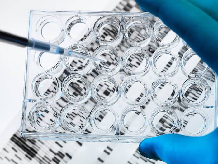 DNA Sample pipetted into multi-well plate